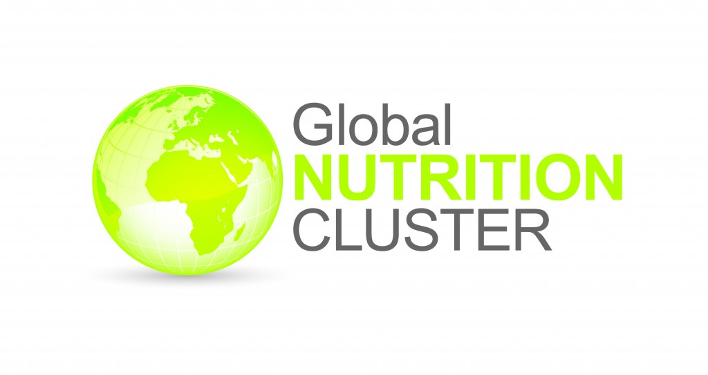 What Is The Global Nutrition Cluster? - SMART Methodology