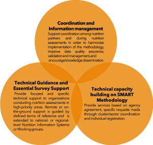 SMART objectives in the Middle East